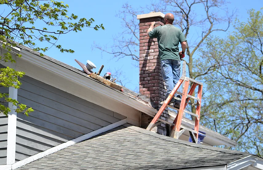 Chimney & Fireplace Inspections Services in Lenoir, NC